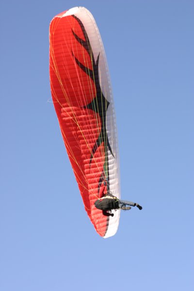 img_8561.jpg