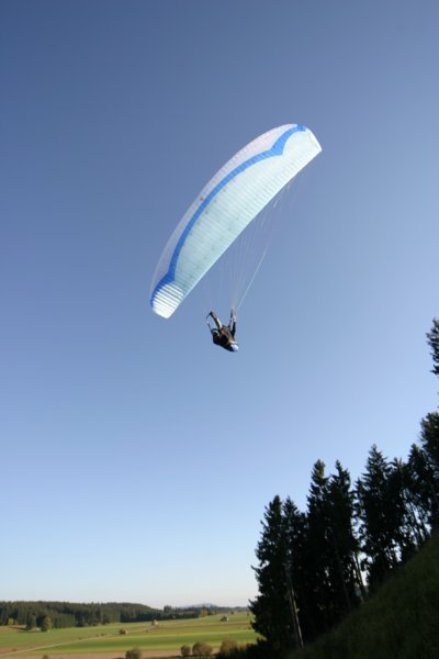 img_8572.jpg