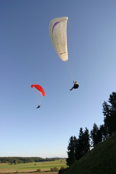 img_8593.jpg