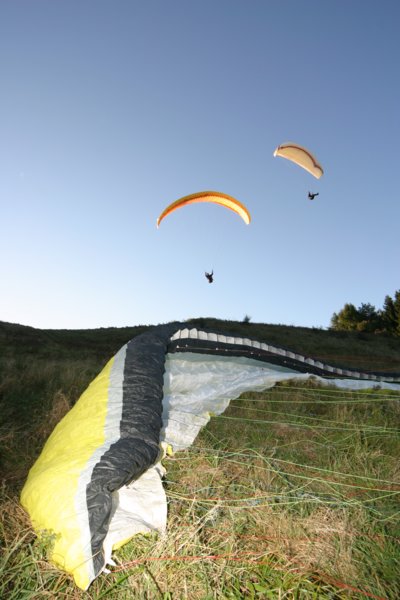 img_8666.jpg