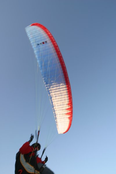 img_8698.jpg