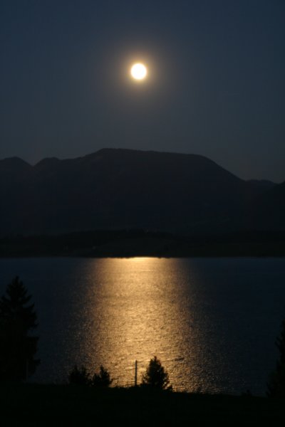 img_8711.jpg