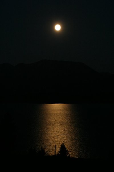 img_8713.jpg