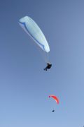 img_8564.jpg
