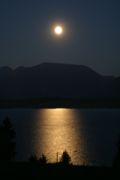img_8711.jpg