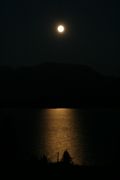 img_8713.jpg