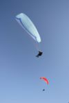 img_8564.jpg