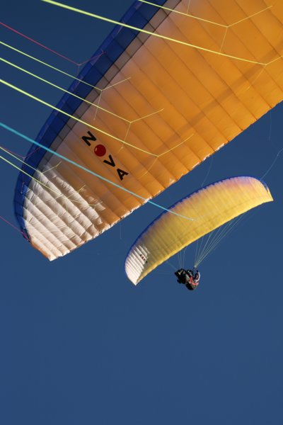 img_1168.jpg