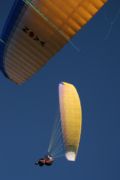 img_1161.jpg