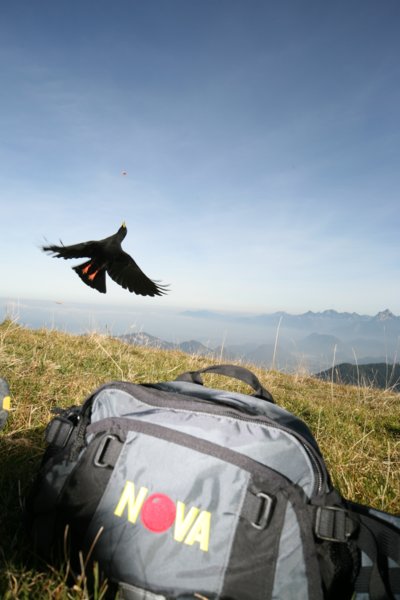 img_1581.jpg