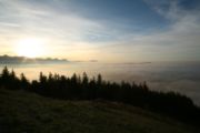 img_1890.jpg