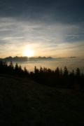 img_1892.jpg