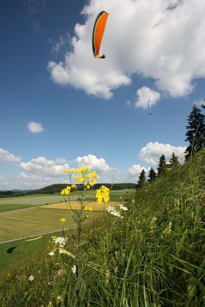 img_5853.jpg