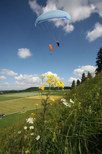 img_5855.jpg