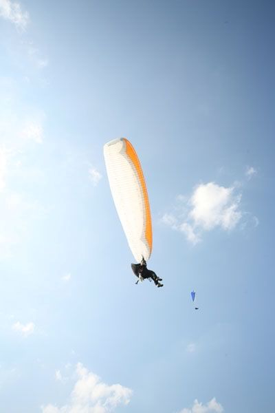 img_6566.jpg