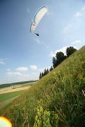 img_6529.jpg