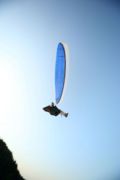 img_6597.jpg
