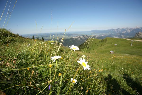 img_6641.jpg