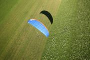 img_6732.jpg