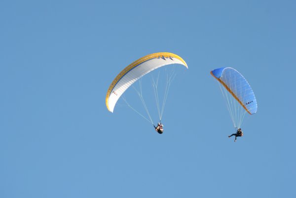 img_9864.jpg