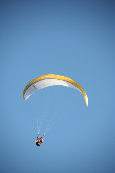 img_9881.jpg