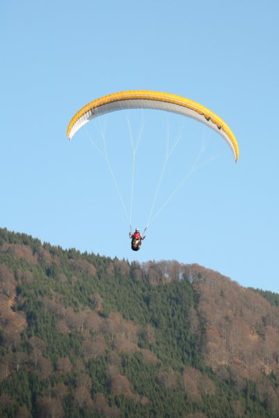 img_9896.jpg